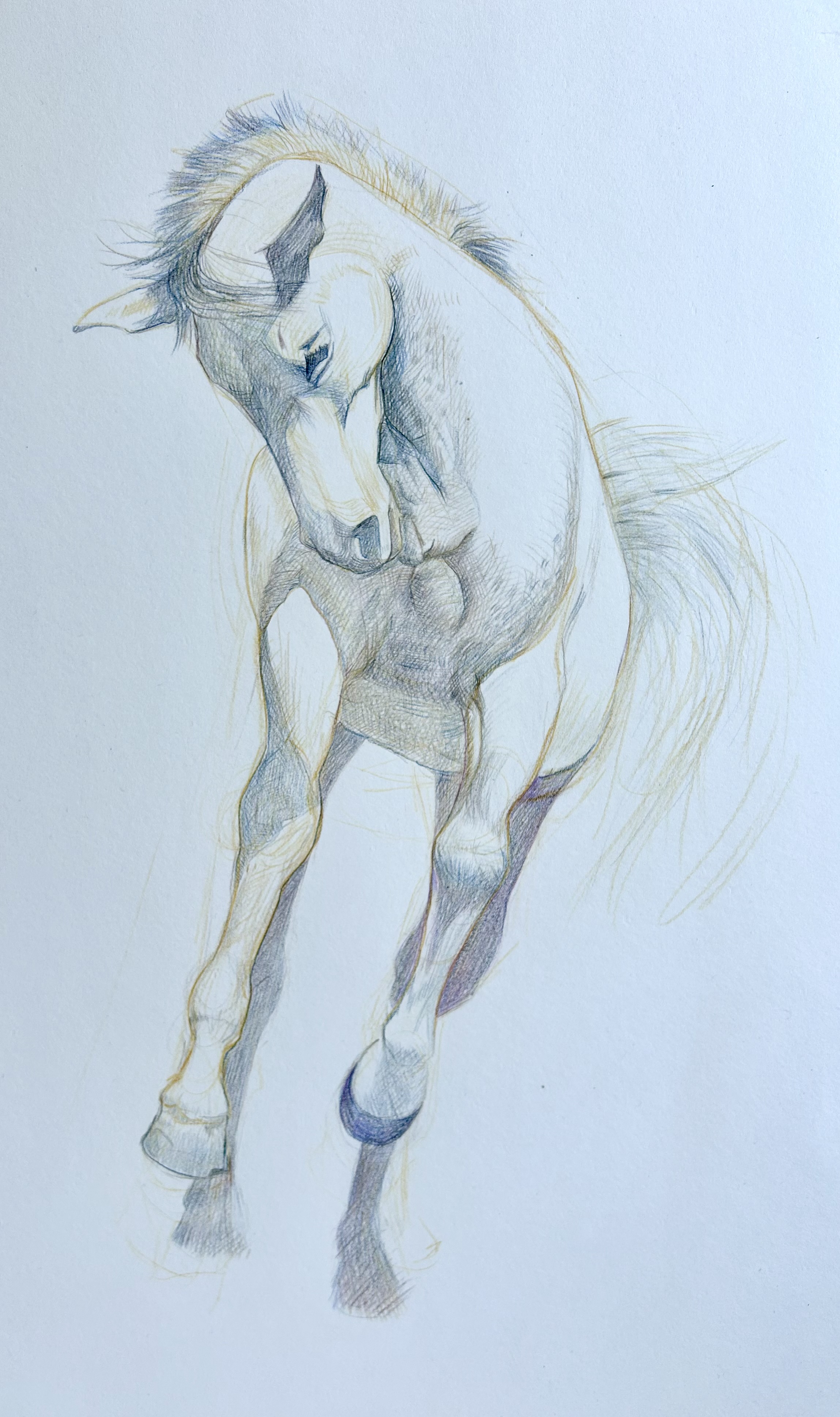 Untitled I